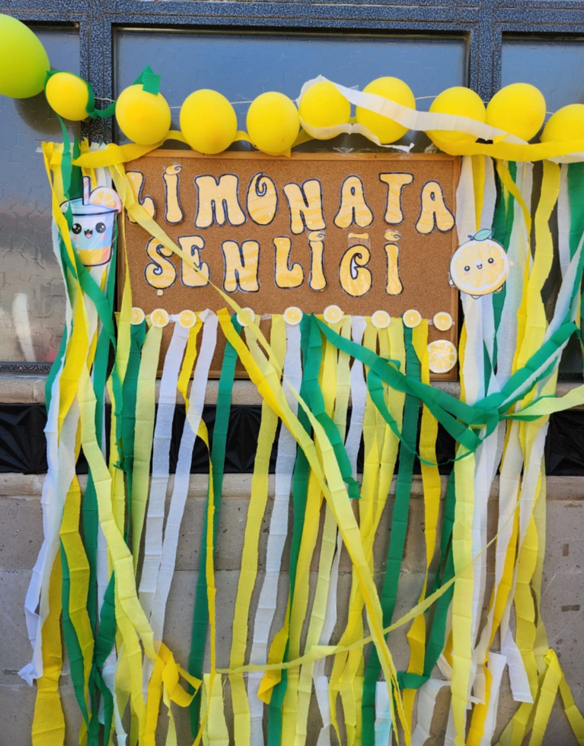 WhatsApp Image 2025-08-31 at 15-47-03